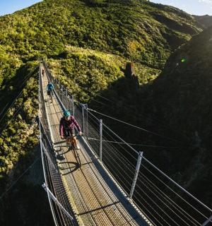 一个人在吊桥上骑自行车