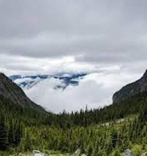 树木和云彩的山谷景色