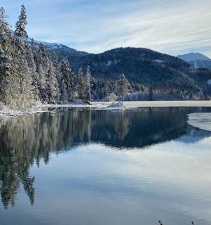 湖景、树木和山脉