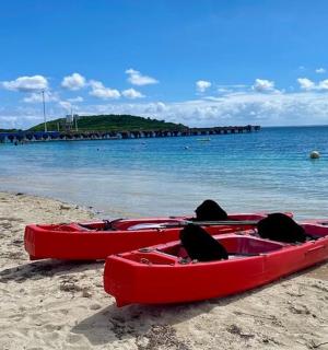 两艘红色独木舟停在沙滩上