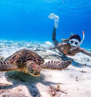 戴着面具的女人和海里的乌龟