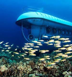 skupina ryb pod lodí v oceánu