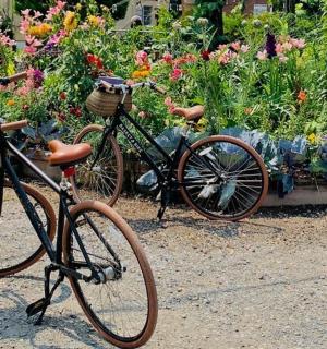 a bike parked in front of a flower garden
