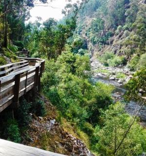 山边的河上一座桥