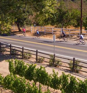 a group of people riding bikes down a road