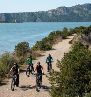 一群人在水边的小路上骑自行车