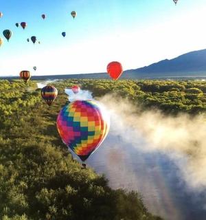 a bunch of hot air balloons flying over a field