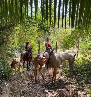 kaks inimest ratsutavad metsas hobustega koos koeraga
