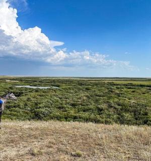 a man riding a horse in a field