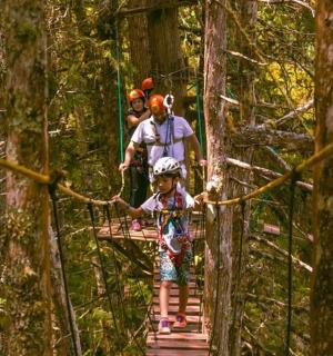 一群人走过森林里的一座桥