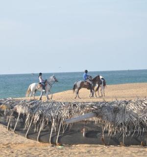 a group of people riding horses on the beach