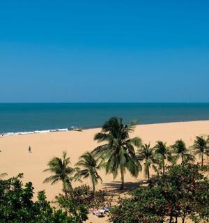 一片有棕榈树的海滩和水上的一艘船