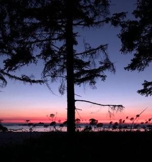 ein Sonnenuntergang am Strand mit Bäumen im Vordergrund