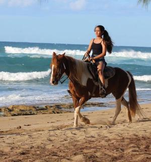 一名女子在海滩上骑马