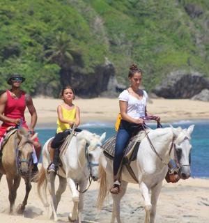 一群人在海滩上骑马
