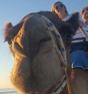 两个人骑在骆驼背上