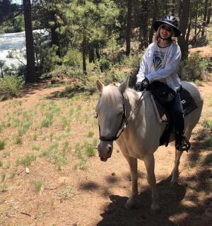 一个人骑着白马在小路上