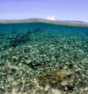 an underwater view of the ocean with reefs