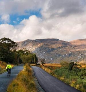 skupina lidí jedoucích na kolech po silnici