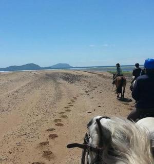 一群人骑马在土路上
