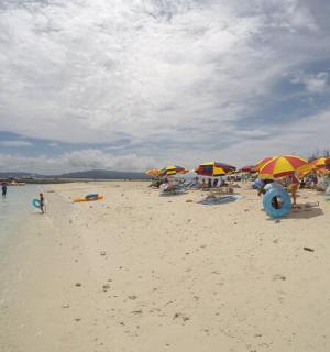 一群人在海滩上撑着遮阳伞