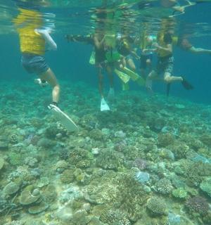 一群人在水中游泳