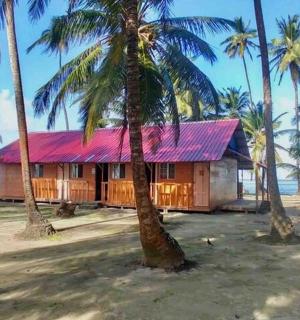 a house with a red roof on a beach with palm trees