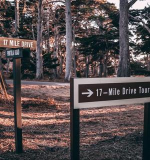 two street signs in a park with trees