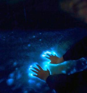 a person holding their hands up in the dark