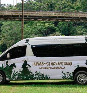 a white van with plants painted on the side of it