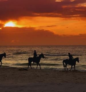 日落时分，一群人在海滩上骑马