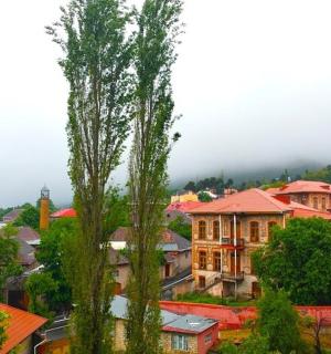 有房屋和树木的城市景观