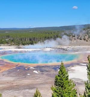 一片树木繁茂的田野中有一池蓝色的水