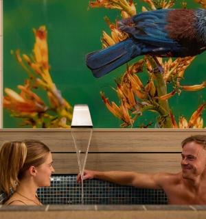 muž a žena ve vaně s ptákem na zdi