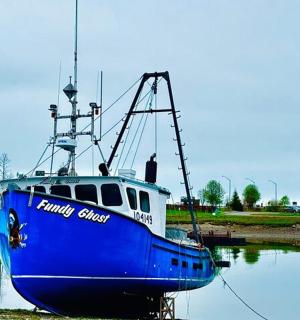 一艘蓝色的小船停在水中