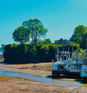 两艘船停靠在岸边