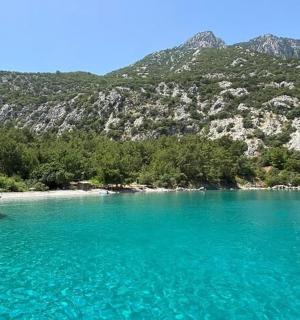 loď plovoucí ve vodě poblíž pláže