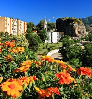 a bunch of flowers in a park with buildings