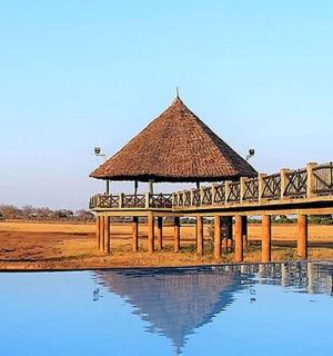 一座横跨水面的桥，桥上有两头大象