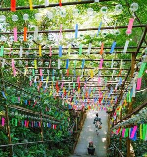 a person riding a bike in a garden with colorful flags