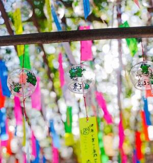 a bunch of windmills hanging from a tree