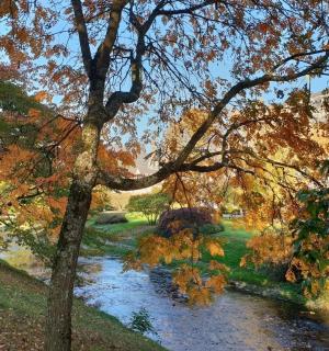 a painting of a river in a park with trees