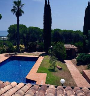 a swimming pool in a yard with palm trees