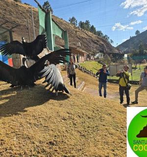 a couple of birds flying over a group of people