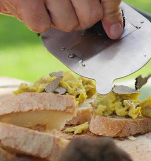 a person cutting a sandwich with a knife
