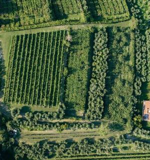 an overhead view of a field with a house and trees