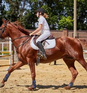 a young girl riding on the back of a brown horse