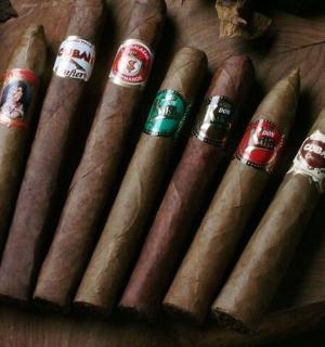 桌子上摆放着一组不同类型的雪茄