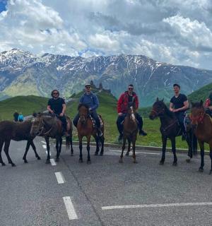 一群人在路上骑马