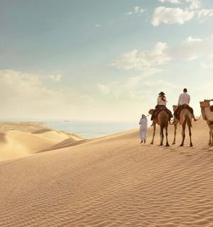 un grup de oameni călare pe cai în deșert